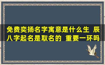 免费奕扬名字寓意是什么生  辰八字起名是取名的  重要一环吗